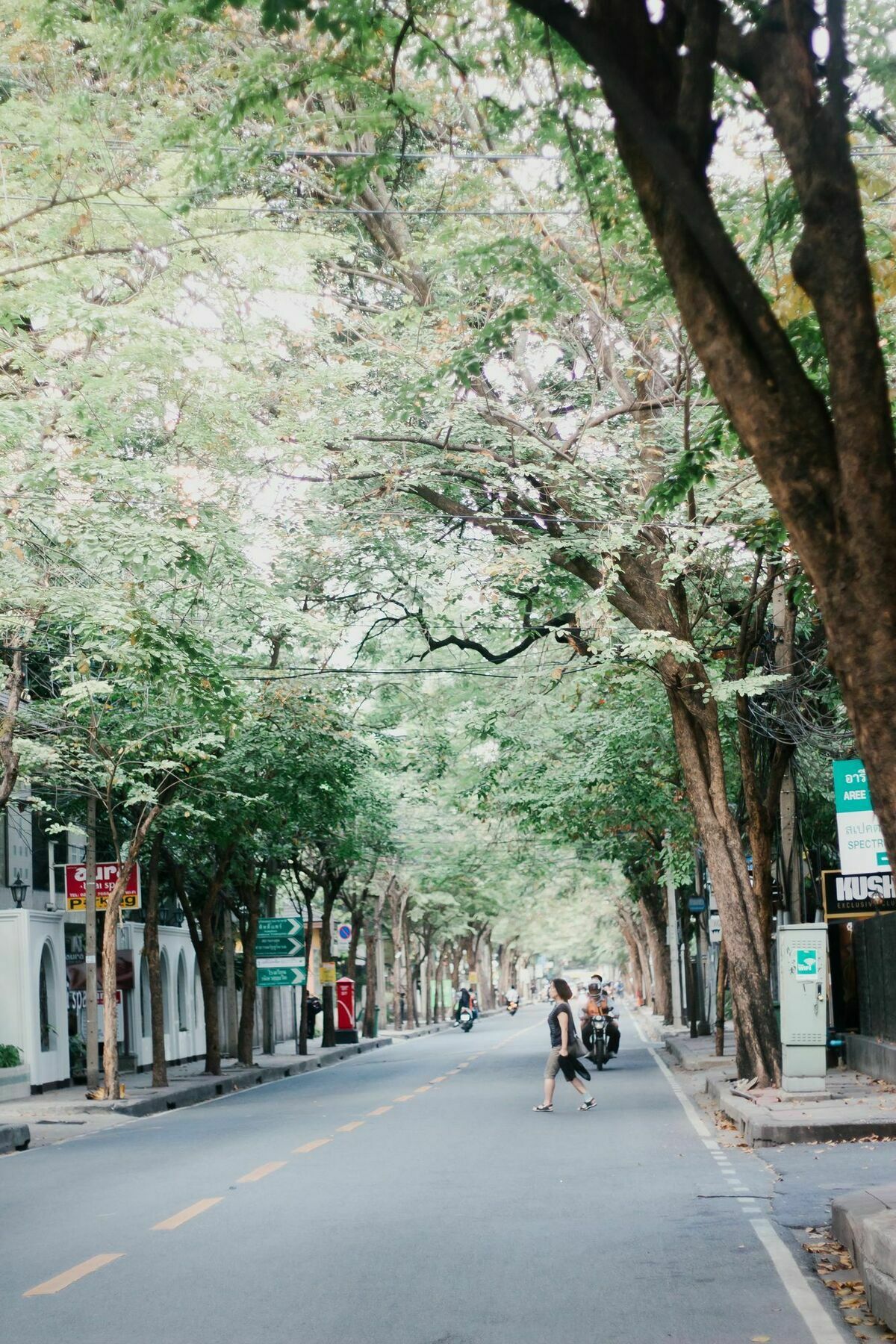 Weeping Willow Sukhumvit 26 Banguecoque Exterior foto